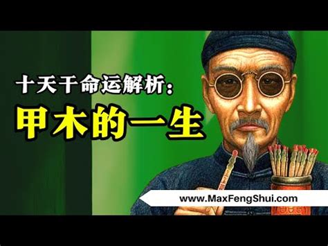 震木命|【震木命】震木命：揭秘你命中的力量！